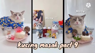 Video Kucing masak part 9 😋🍭🐈 [][] THAT LITTLE PUFF Compilation