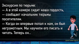 💎Я Работаю С Парнем Из Китая...Сборник Свежих,Смешных До Слёз Анекдотов,Для Супер Настроения!