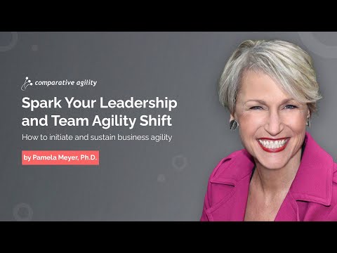 Spark Your Leadership and Team Agility Shift: How to initiate & sustain agility by Pamela Meyer