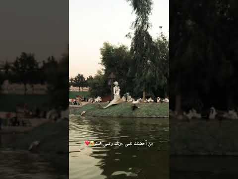 انته طيري وصعبه غيري الي يفهمك