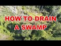 How to Drain a Swamp  [ 8-11-2020 ]