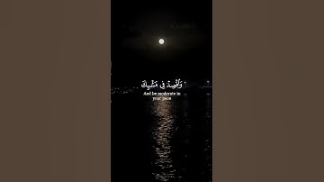 أكتب شيءٍ تؤجر عليه يوم القيامة ❤️ #اكسبلور #تلاوة_خاشعة #سورة_لقمان