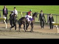 2018 ダンビュライト戸崎を振り落とす!! 第158回 天皇賞（秋）GⅠ 本馬場入場 現地映像 レイデオロ