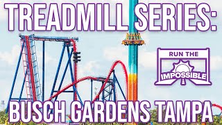 Busch Gardens Tampa Treadmill Workout Full Park Steady Walkthrough