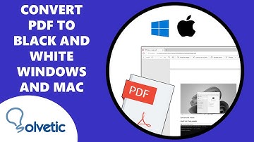Convert PDF Color to Black and White ✔️ Windows and Mac