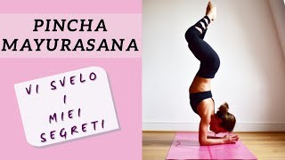 Pincha Mayurasana - Come essere forti e stabili in verticale in equilibrio sugli avambracci
