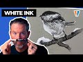 Drawing with white and black ink  snow bird