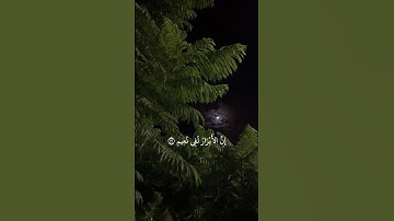 القارئ : ياسر الدوسرى ﴿ إِنَّ الْأَبْرَارَ لَفِي نَعِيمٍ﴾[ سورة المطففين 22]