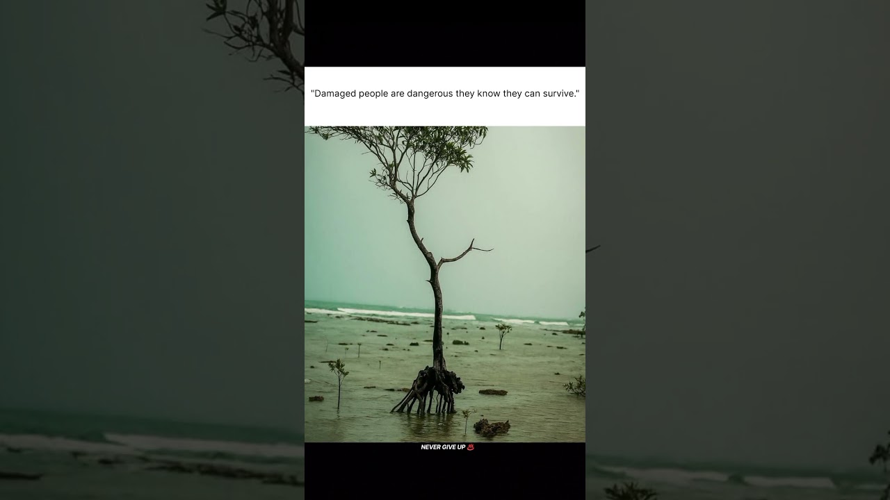 “Damaged people are dangerous — they’ve already learned how to survive.” 🌊🌿