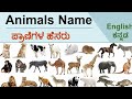 Animal names |ಪ್ರಾಣಿಗಳ ಹೆಸರು|Kannada to english #basicenglish #vocabulary