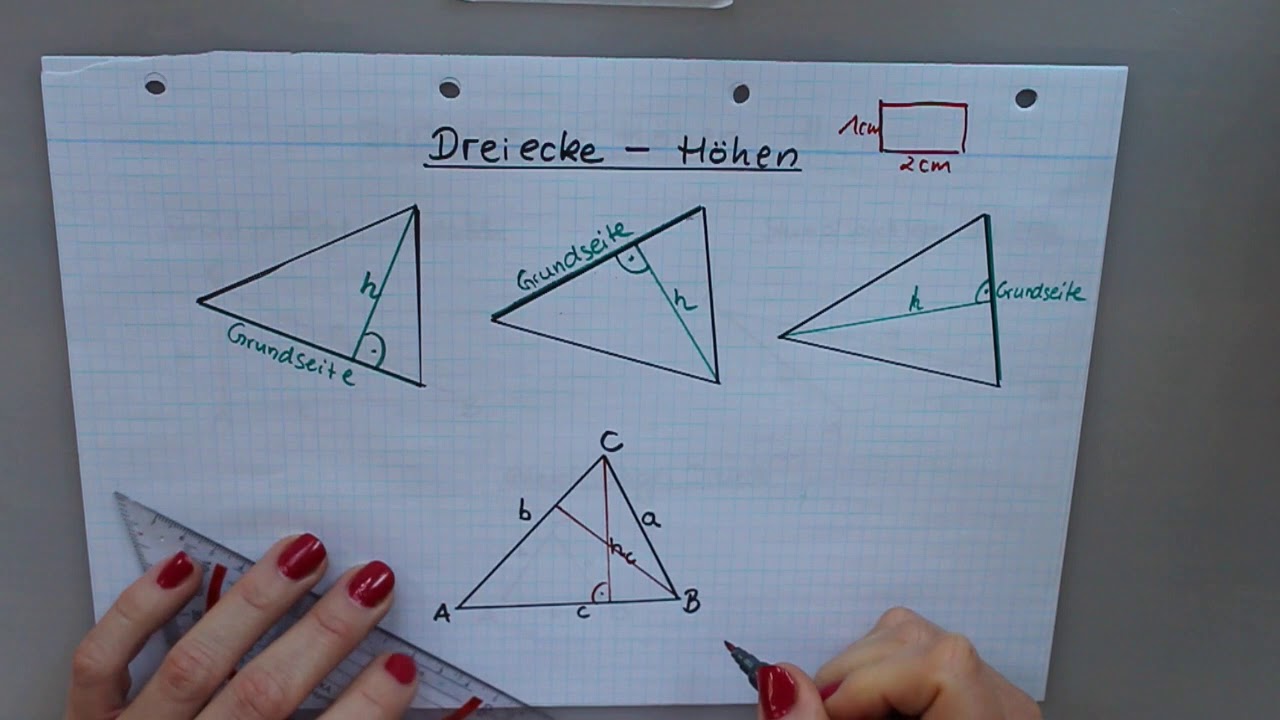 Höhen im Dreieck - Mathe Klasse 7