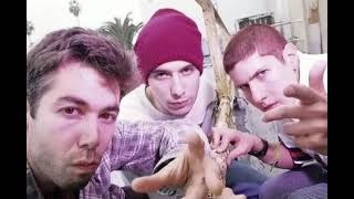 The Beastie Boys