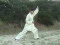 Tai Chi Taiji Kung Fu Fan