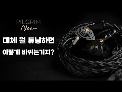 이펙트 오디오 ㅇㅈ | Elysian Acoustic Labs Pilgrim Noir <strong>필그림</strong> 느와르