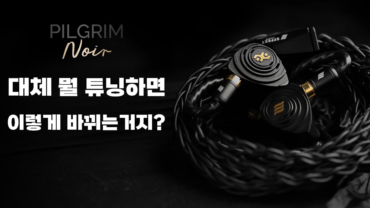 뭘 튜닝하면 이렇게 바뀌는거지? 이펙트 오디오 ㅇㅈ | Elysian Acoustic Labs Pilgrim Noir 필그림 느와르
