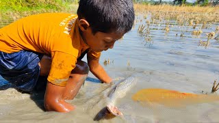 amazing hand fishing video  -  boys catching fish by hand - hand fishing from mud water part - 18 screenshot 5
