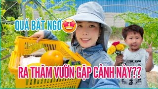 31🇰🇷 VISITING THE VEGETABLE GARDEN AND GETTING A HUGE SURPRISE?
