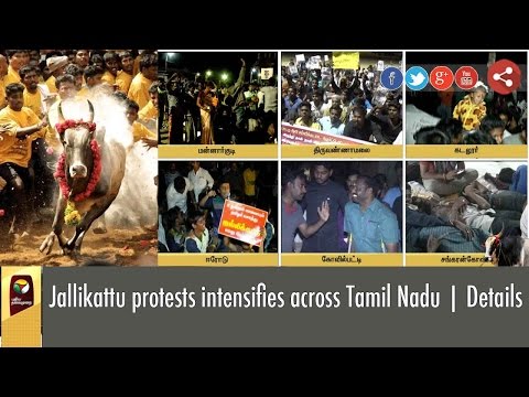 Jallikattu protests intensifies across Tamil Nadu | Details