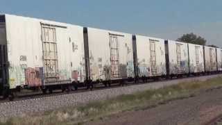 Union Pacific RR #5301 Railex Merchandise train meets WBD #4928 stack train @ Clark, NE 9/24/13