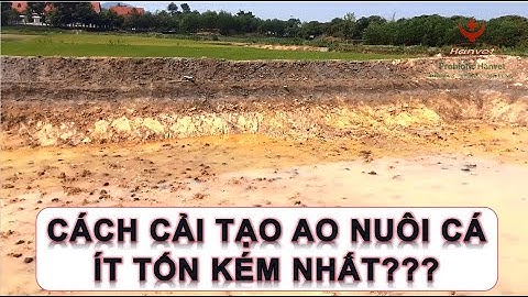 HanvetTV 🌟 CÁCH CẢI TẠO AO NUÔI CÁ ÍT TỐN KÉM NHẤT 🌟