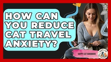 How Can You Reduce Cat Travel Anxiety? - Happy Cat Handbook