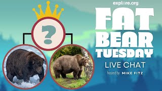 Fat Bear Week Finale | Brooks Live Chat