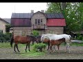 WYCIECZKA Nr 821 "Rybakówka - Święty spokój"