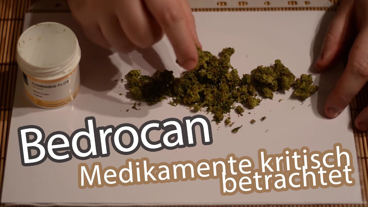 Sortentest ─ Bedrocan ─ Medizinisches Cannabis im Detail