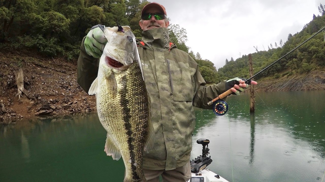 Fly Fishing Feather River, Clear Lake, Berryessa, & Shasta. 20192020