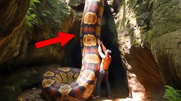 These Terrifying Snakes Really Existed And It