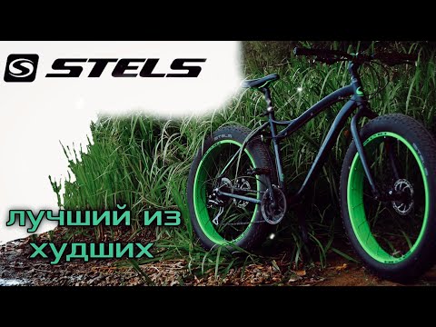 Stels | история