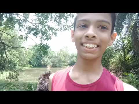 We went to a Jungle in my village 😮😶 || Hindi || SaiDeep Vlogs