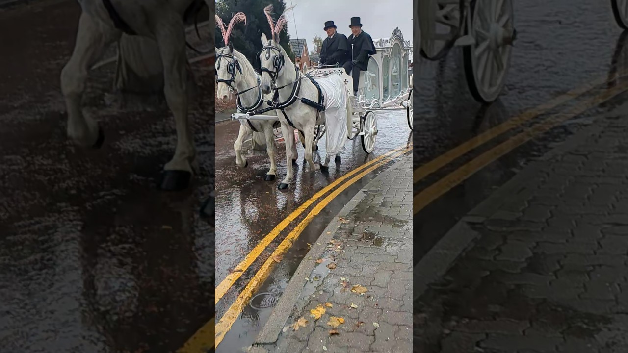 Flamenco style in the Marches