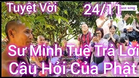 24/11 Sư Minh Tuệ Trả Lời Câu Hỏi Của Phật Tử Rất Tuyệt Vời