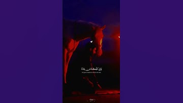 تلاوه عطرة وحصرياً للقارئ عبدالله احمد شعبان سوره البقره #قران_كريم #اكسبلور #عبدالله_شعبان