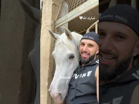 الباشا أذكرو الله خيل خيل عربيه اصيله اكسبلور