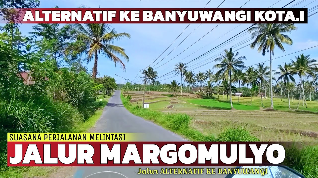 Jalur Alternatif ke Banyuwangi dari Arah Jember‼️Suasana Perjalanan di Jalur Margomulyo Glenmore...
