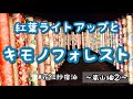 【GoTo！女子旅京都③】嵐山温泉/花伝抄宿泊/宝厳院/キモノフォレスト/ライトアップ/kyoto/travel/japan