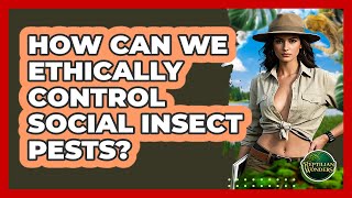 How Can We Ethically Control Social Insect Pests? - Reptilian Wonders