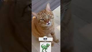 #cats unique sound 💀#zxtrollfaceff