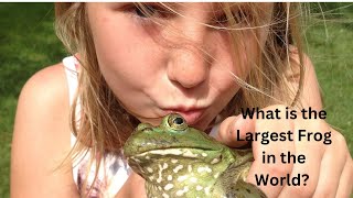 What is the Largest Frog in the World?