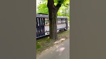 🚲🚃