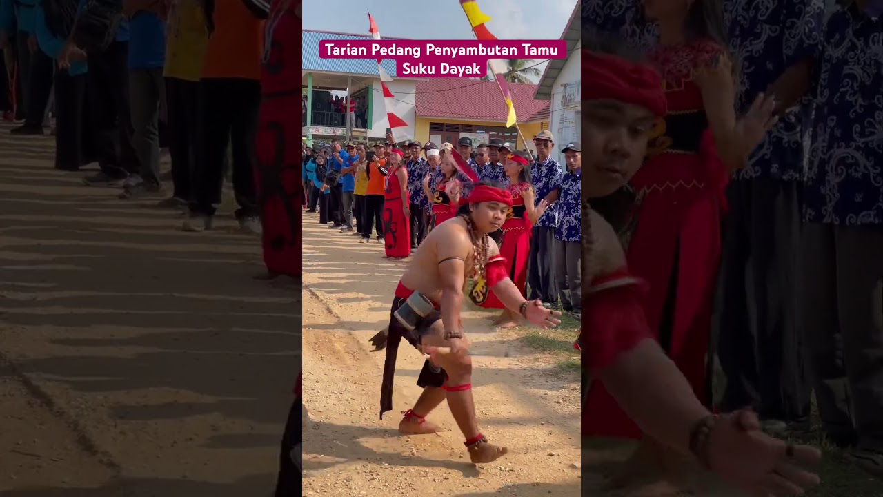 Tarian Pedang Penyambutan Tamu Suku Dayak #shortvideo #dayak #tariandayak