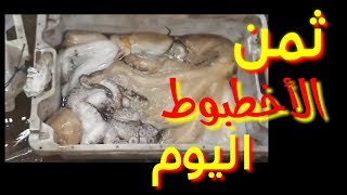 ثمن الأخطبوط اليوم بالمزاد العلني 24/09/18 agadir