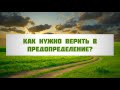 Как нужно верить в Предопределение? || Абу Яхья