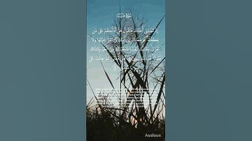 تلاوة هادئة تُريح الأعصاب🎧😴القارئ مصطفى جبل 🤍أرح سمعك