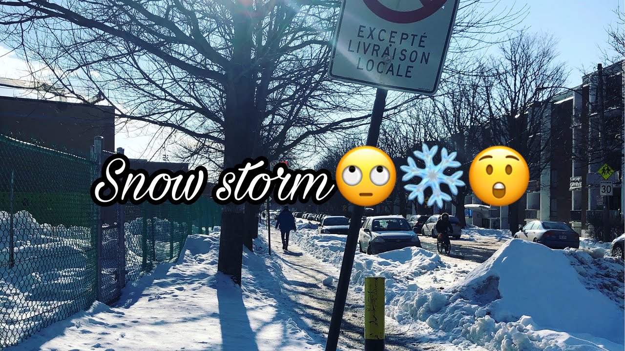 Live! After winter storm - YouTube
