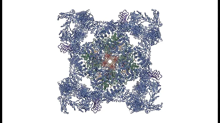 Capturing the Inner Workings of a Calcium Channel in Muscle - DayDayNews