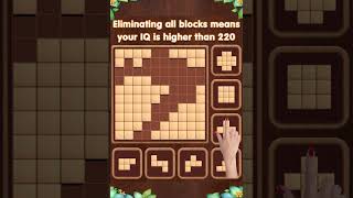 Wood Block Puzzle V18- 800x1200 screenshot 4