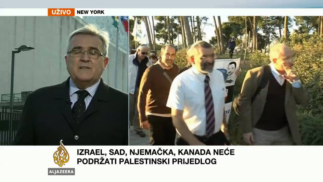 إيفيكا بولجيتش يتحدث عن التصويت على الطلب الفلسطيني في الأمم المتحدة - قناة الجزيرة البلقان